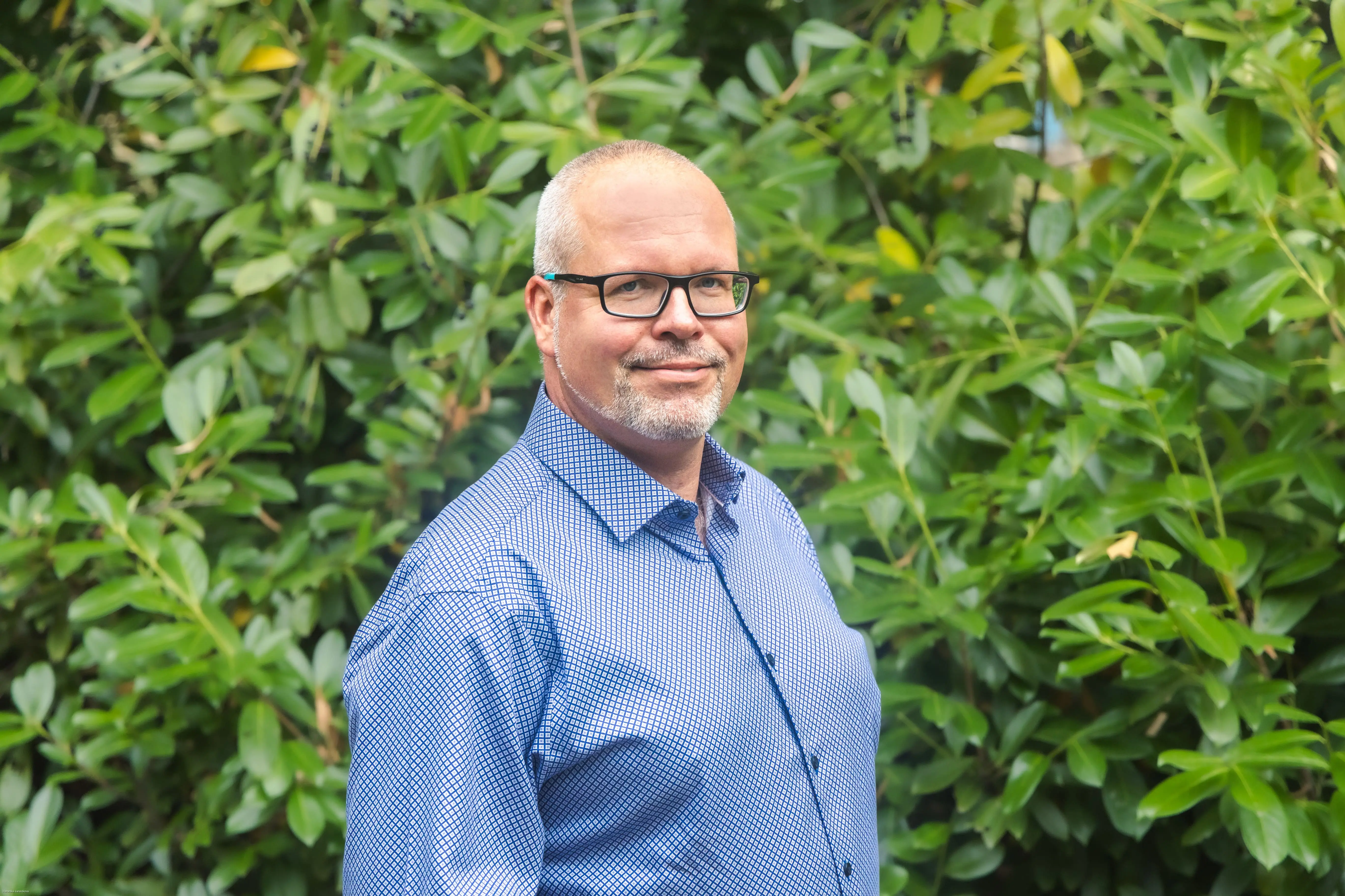 Ing. Jan Ludvík